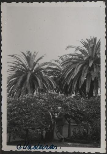 Aurulaev "Hildur" Madeira 6 - desc. - 1938