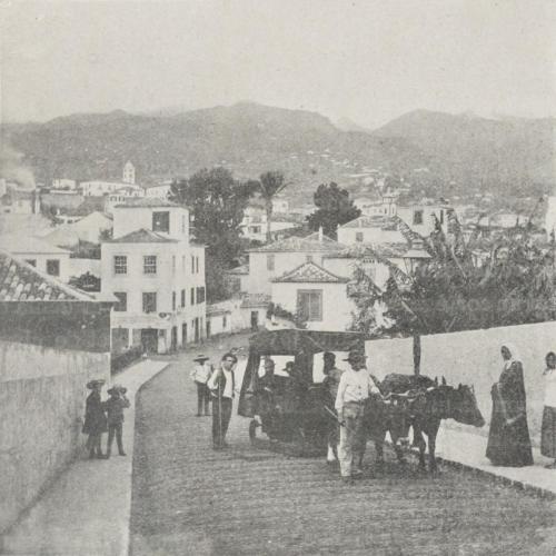 "Carro" dans les rues de Funchal - desc. - 1907