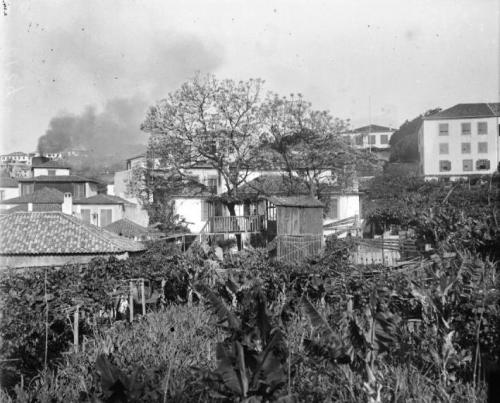 Vista do comboio do Monte - desc. - 1909