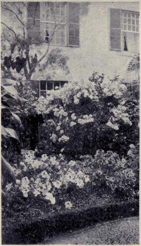 A Bright Garden Corner - desc. - 1909