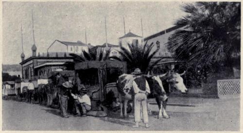 A Carro Stand - Funchal - desc. - 1909
