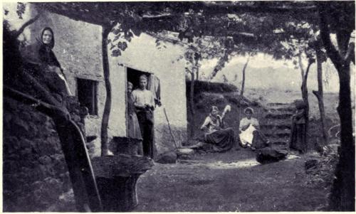 A Typical Madeira Cottage - desc. - 1909