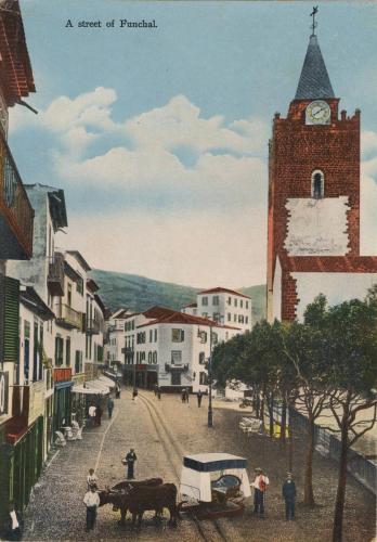 A street of Funchal - desc. - c. 1900