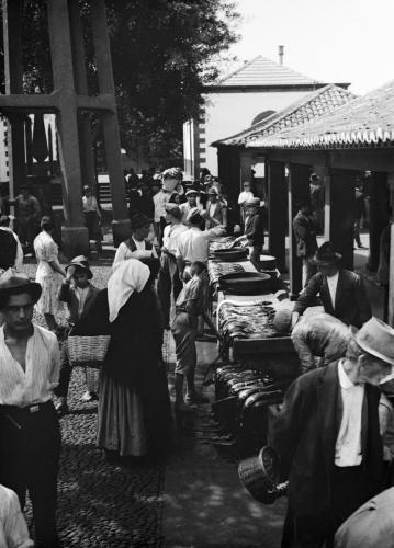 Vismarkt. Uitgestald liggen z.g. pesce spada, degenvissen - Van de Poll - 1934