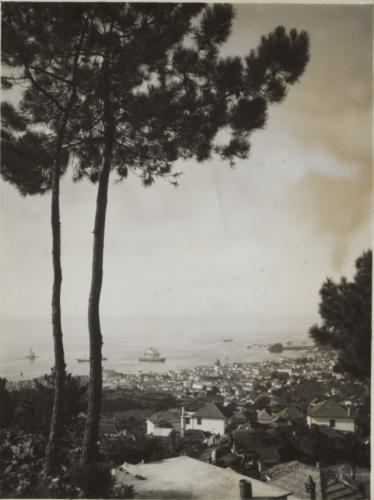 Vista da Baía do Funchal - desc. - c. 1910