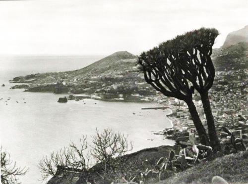 Vista da baía do Funchal - desc. - c. 1934