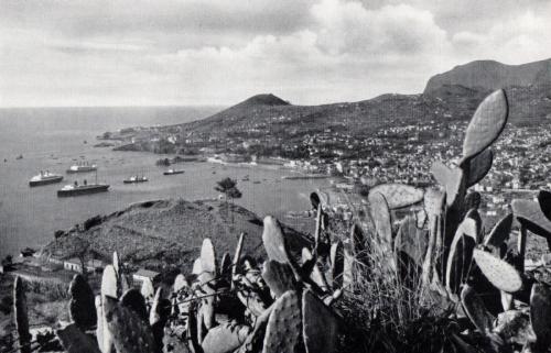 Vista do Funchal - desc. - 1936