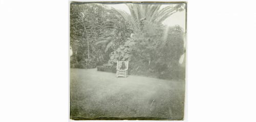Axel Klinckowströms tax Resi i en korgstol hos svenske konsuln i Funchal, Madeira - desc. - 1903