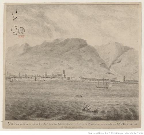 Vue de Funchal - Du Fresne - século XIX